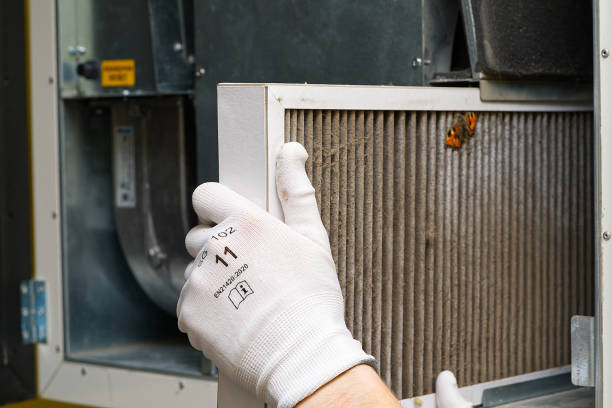 Best Affordable Air Duct Cleaning  in Orcdlands Estates, HI